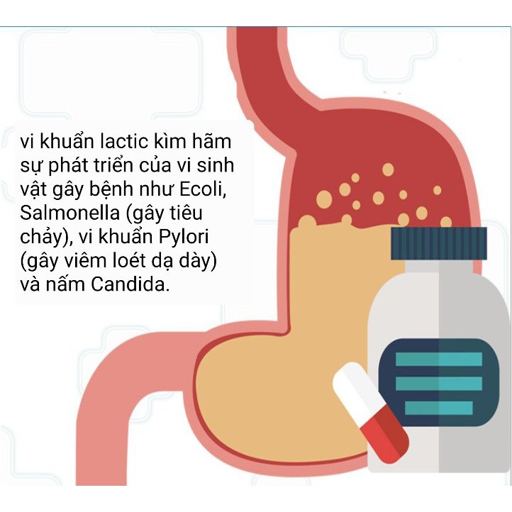 Bổ sung A.xit L.actic chống tiêu chảy, dưỡng lông cho Hamster, Thỏ, Bọ (1 viên)