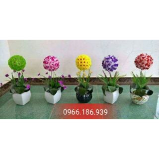 Hoa đá pha lê cẩm tú cầu