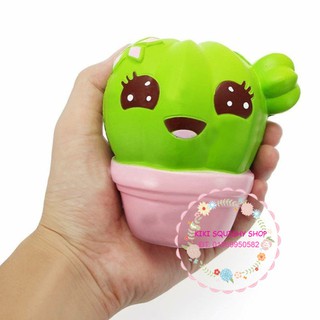 Squishy chậu xương rồng