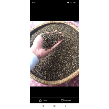 Bột tam giác mạch Cao Bằng