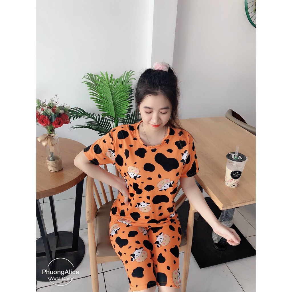 Bộ đồ mặc nhà hình bò sữa siêu dễ thương, thun cotton freesize dưới 57kg | BigBuy360 - bigbuy360.vn