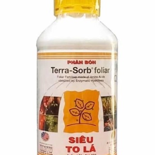 Phân bón lá - siêu to lá