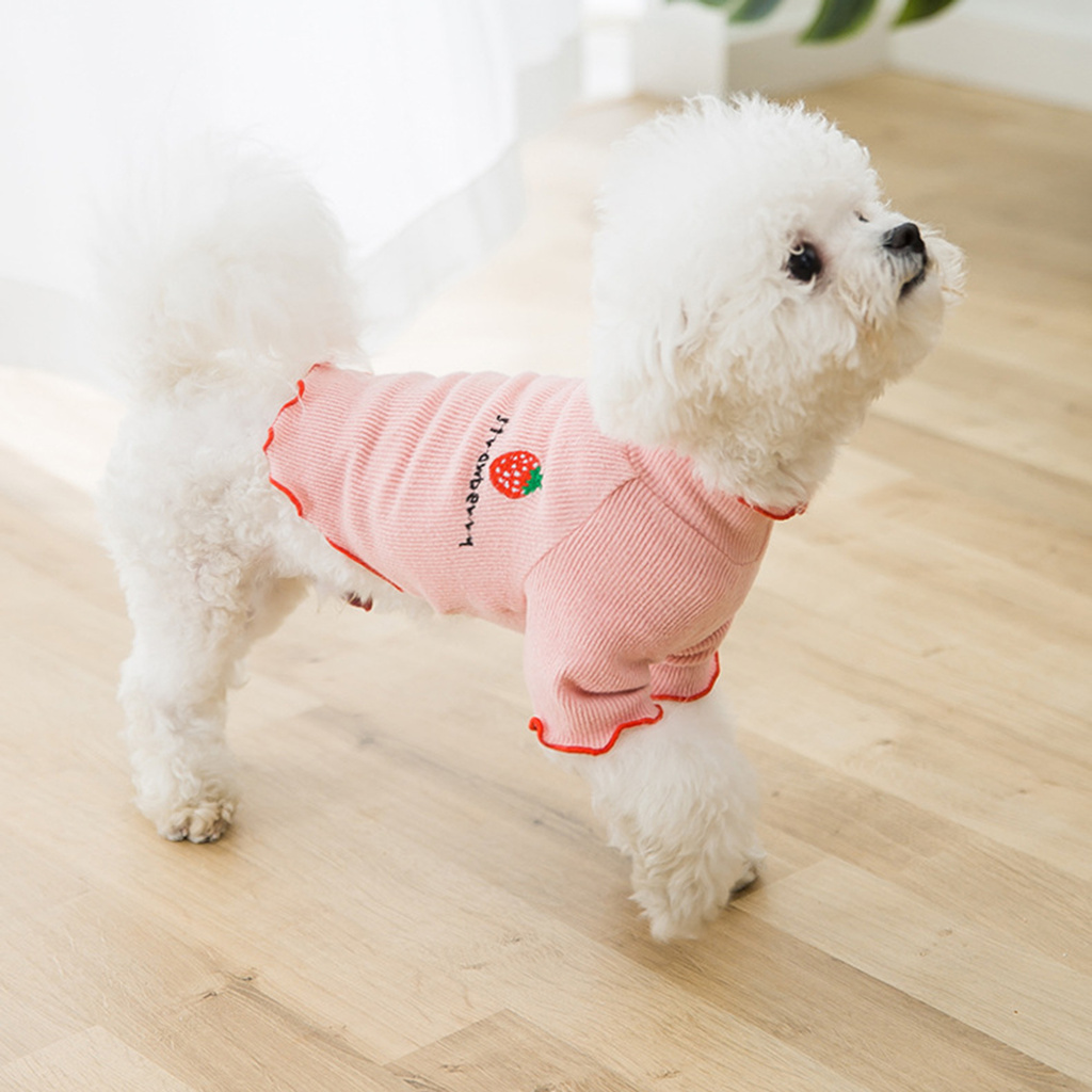 Áo Len Giữ Ấm Cho Thú Cưng