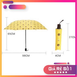 Ô gấu đi mưa brown