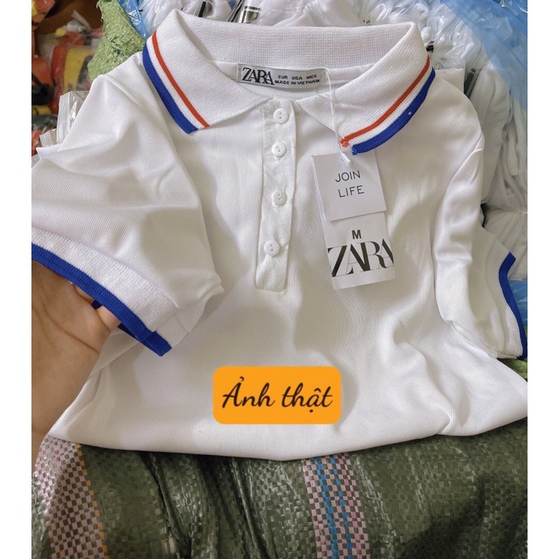 Áo Polo Zara Trắng