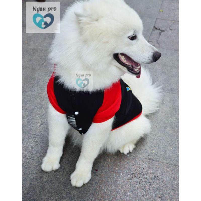 Áo cho chó size lớn thu đông chất nỉ ấm, Quần áo thú cưng chó GOLDEN HUSKY ALASKA giống to cân nặng từ 1kg đến 45kg APET