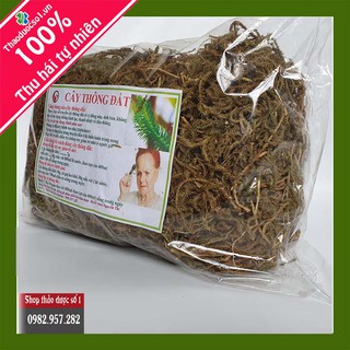 Cây thông đất điều trị bệnh Alzheimer, phục hồi trí nhớ, sa sút trí tuệ  1KG Khô SP CTY Thảo Dược Số 1