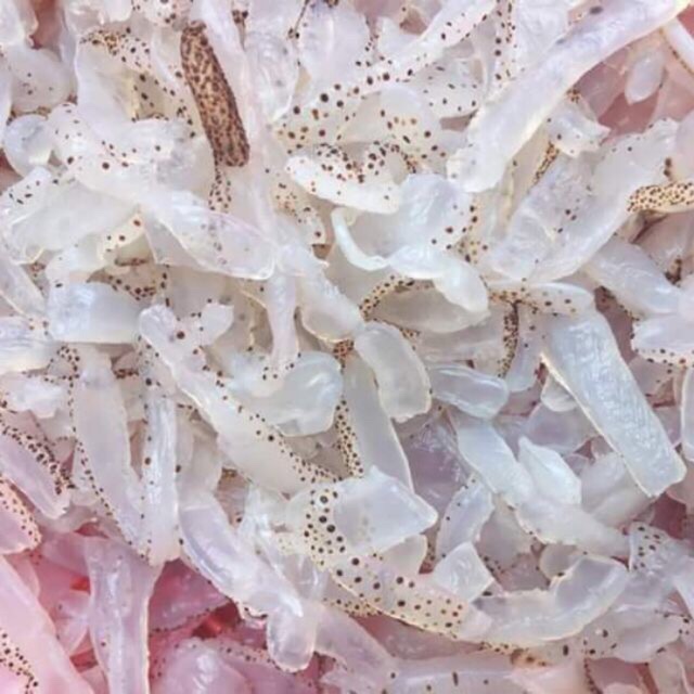[ 1Kg ] Sứa Biển | Nón Sứa Cực Giòn