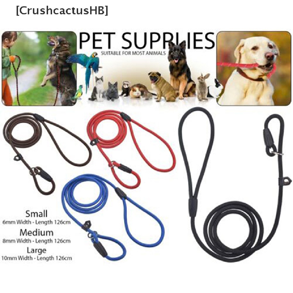 Dây xích chó huấn luyện thú cưng bằng nylon