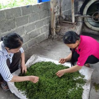 Trà Thái Nguyên 500g