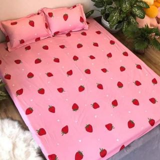 Sét ga gối poly cotton xuất hàn