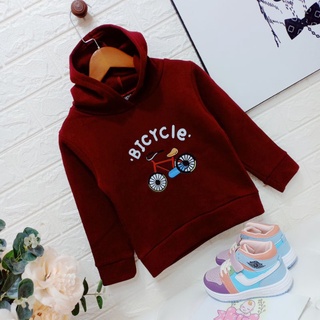 Áo nỉ bông (hoodie)