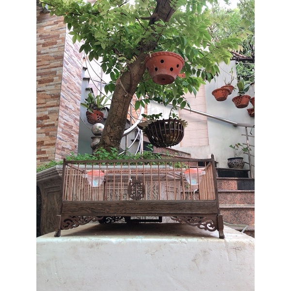Lồng chim Kymisa lồng chim cu gáy lồng chim trần cho các loại chim chất liệu mun hoa lọng đẹp