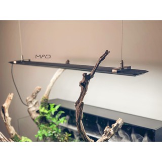 Cáp treo đèn inox
