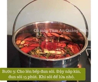 Cỏ máu Tâm An Quảng Bình