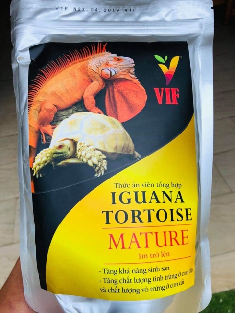 VIF thức ăn iguana và sulcata