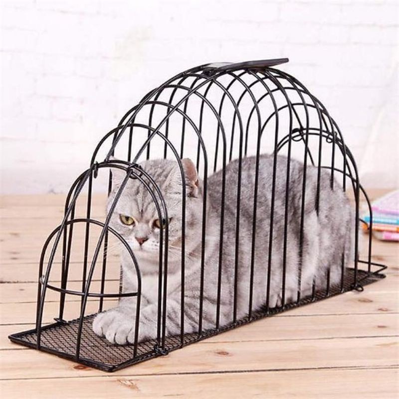 Lồng tắm sấy cho chó mèo