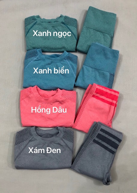 Set crtop tay dài phối lưới gym,yoga,thể thao