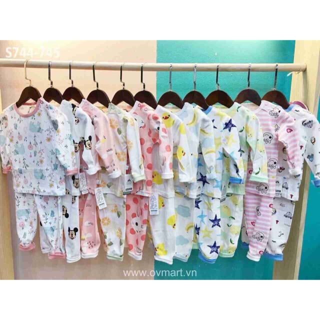 Sỉ bộ cotton mịn