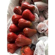 Roi Đỏ đặc sản An Phước Ngọt Mát - giao Hỏa tốc 1h