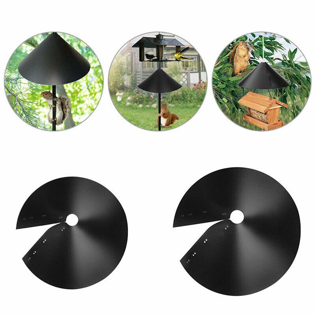 Dụng Cụ Cho Chim Ăn 16 &quot;
