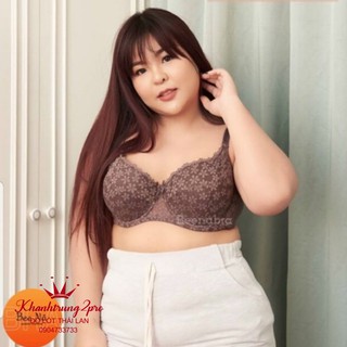 Áo ngực bigsize Thái Lan có gọng không đệm cup E