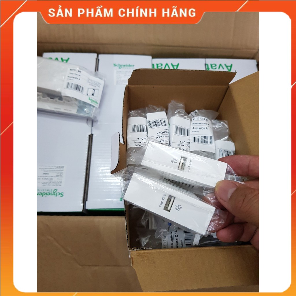 Ổ cắm USB Size-S - avataron-A- schneider