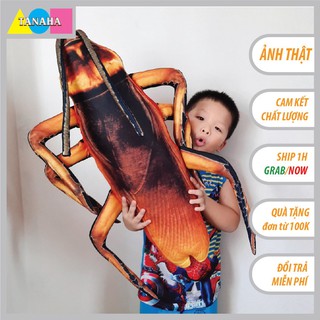 [Hình Thật] Gối ôm 3D Con Gián Nhồi Bông Khổng Lồ 80 cm ( luôn râu 1m1 )