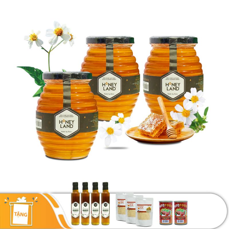 (Hũ Mật Ong Hoa Xuyến Chi Honey Land 500g /Hũ - Tặng 4 chai mật ong hoa cỏ Điện Biên 380g)