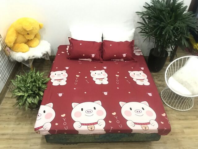 Set ga gối vỏ gối, vỏ gối ôm Cotton Poly (được chọn mẫu)