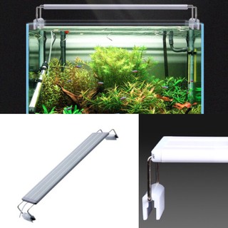 Đèn Bể Cá Cảnh - Đèn Led Kẹp Máng 20cm, 30cm, 40cm, 50cm, 60cm RẺ ĐẸP