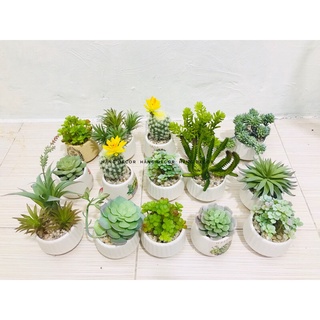 Chậu cây giả- chậu sen đá mini để bàn trang trí