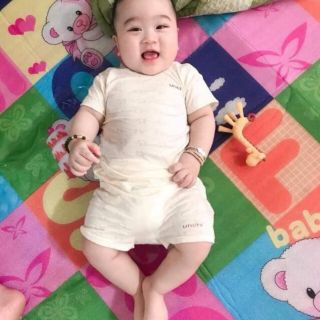 Combo 12 bộ cộc cho bé