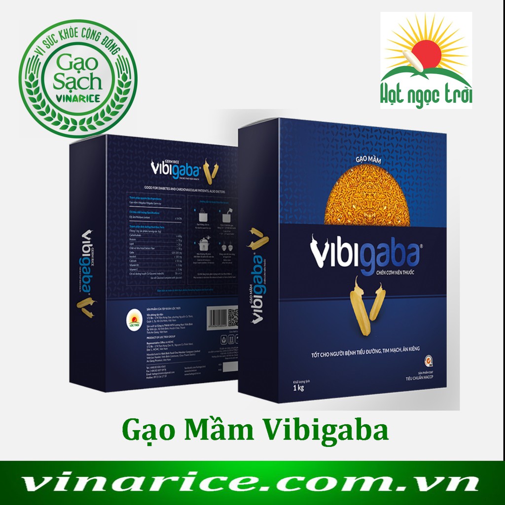 Gạo Mầm Vibigaba 1Kg - Bảo vệ sức khỏe | BigBuy360 - bigbuy360.vn