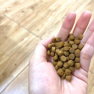 Thức ăn cho cá Cám cá Koi No1 1kg