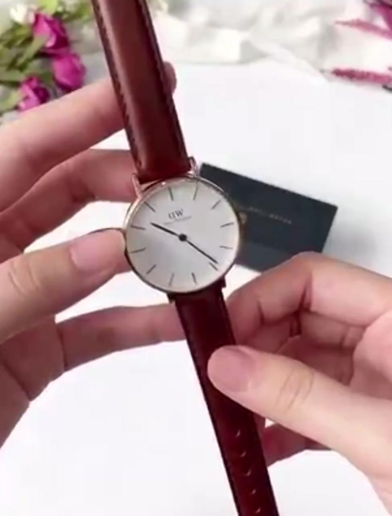 . Đồng Hồ Nữ Daniel Welington Classic Petite Bristol DW Chính Hãng - DanielStoreVn . | BigBuy360 - bigbuy360.vn