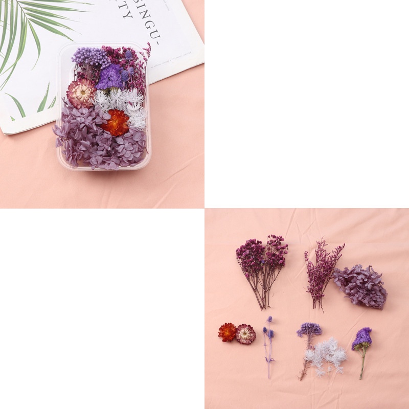 Hộp hoa khô handmade nhiều loại