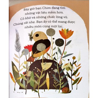 A Science Storybook About Forces - Chim Xây Tổ