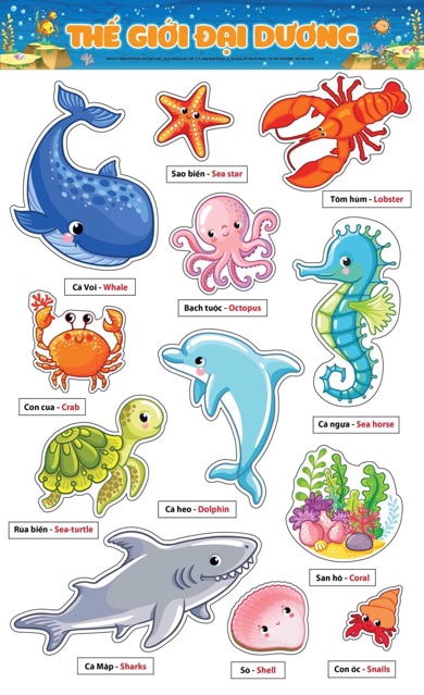 Decal dán - Học tiếng Anh qua hình ảnh - Thế giới đại dương | BigBuy360 - bigbuy360.vn
