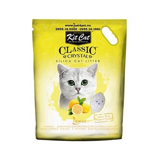 🐾🐾 Cát thủy tinh KitCat🐾🐾