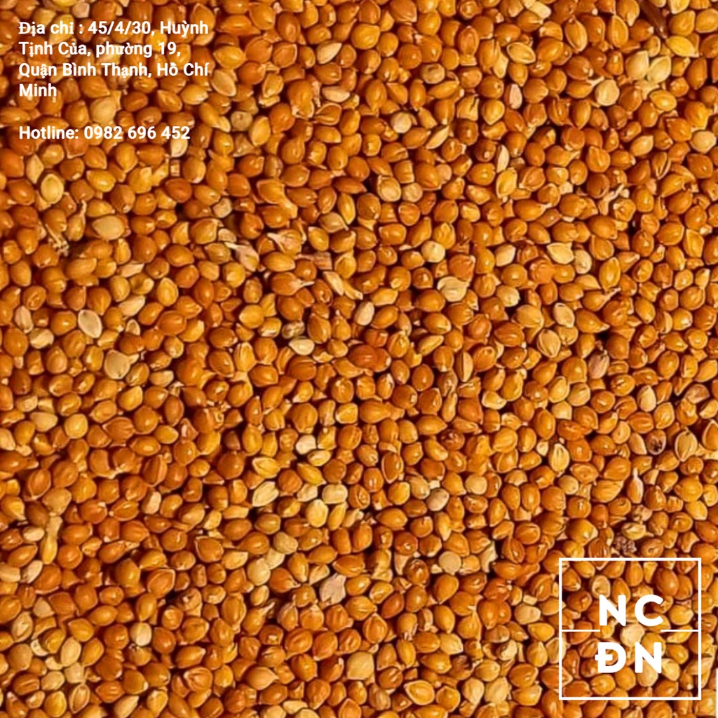 Kê đỏ hạt to cho chim/chim cu gáy/gà/hamster- Ngũ cốc Đặng Nam