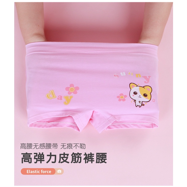 Set 3 quần lót bằng cotton nguyên chất họa tiết hoạt hình cho bé gái 85-165cm