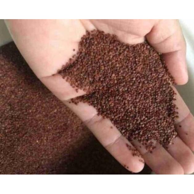 [Loại 1] Hạt Ngũ Hoa Thiên Nhiên Handmade - Hút Mủ Mụn + Dưỡng Trắng | BigBuy360 - bigbuy360.vn