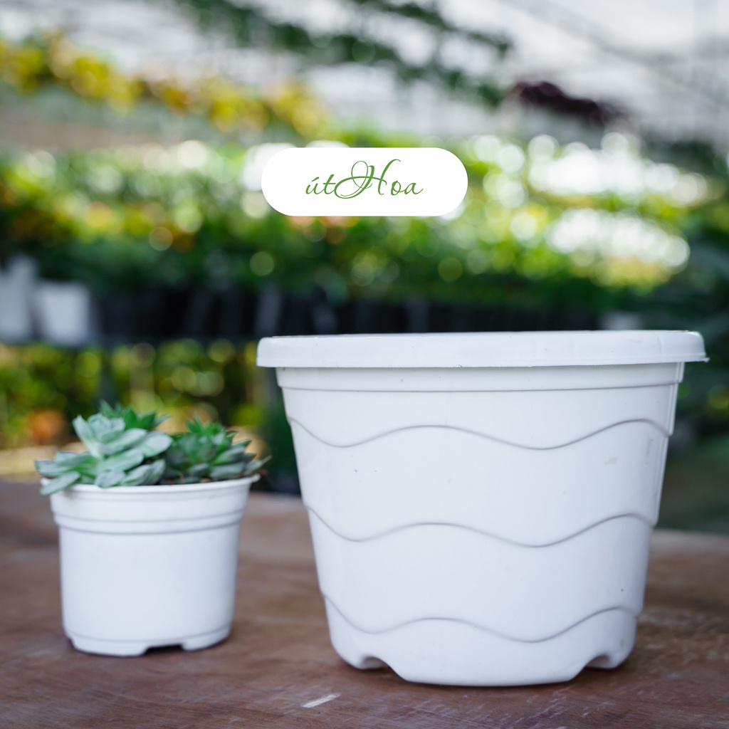 [Tặng dây treo] Chậu treo sóng biển trồng hoa 200x150