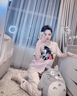 Bộ gấm hình 3D cao cấp