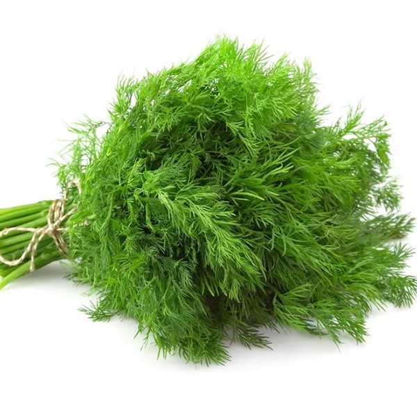 Hạt giống rau Thì Là 20g
