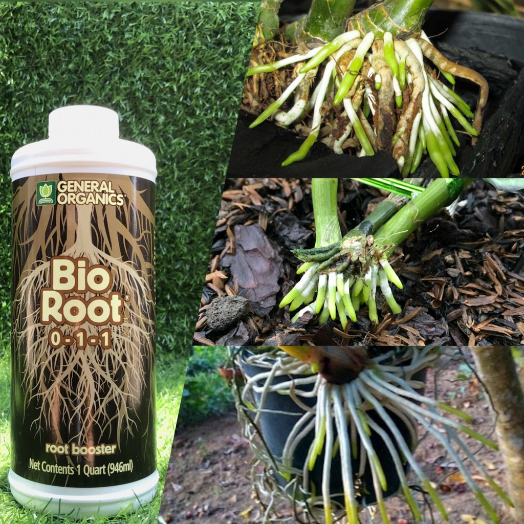 Thuốc Kích Rễ cực mạnh Bio root 0-1-1, Kích rễ hữu cơ nhập Mỹ