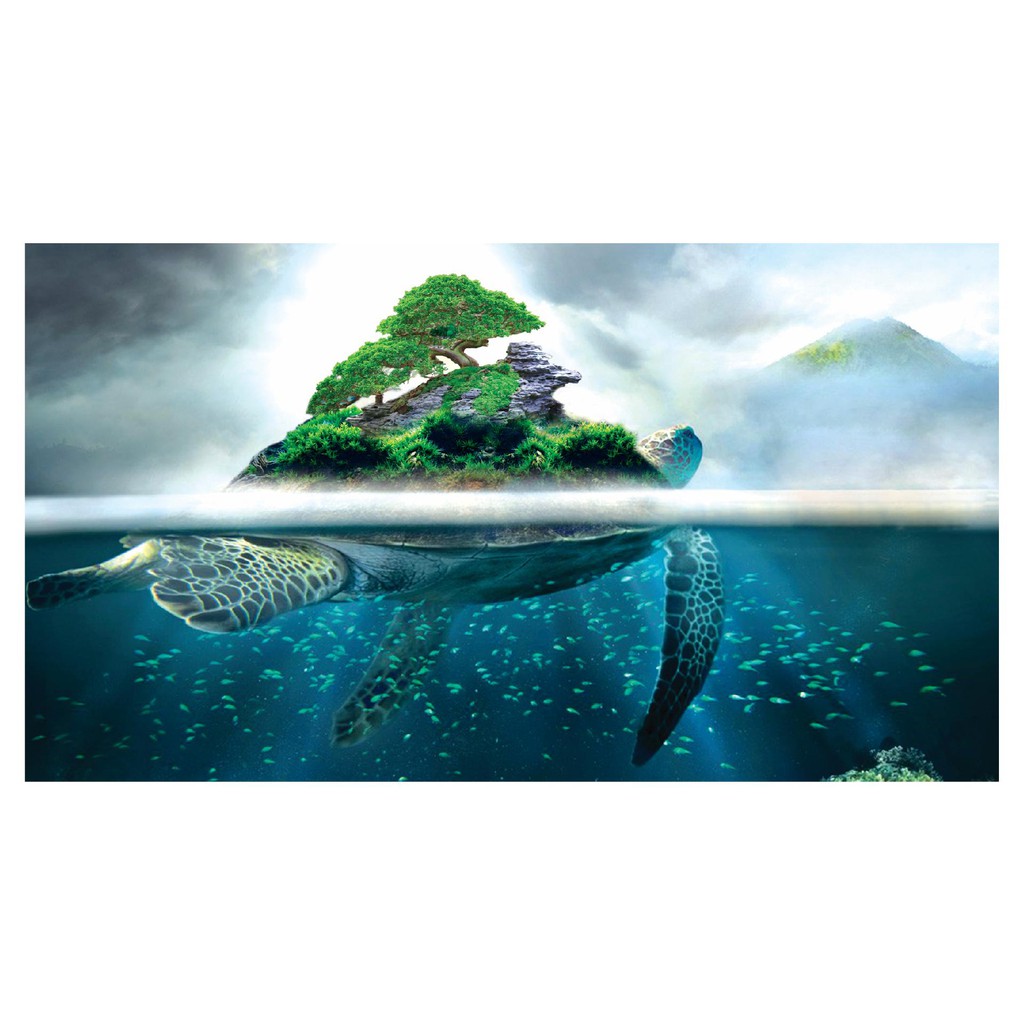 DECAL HỒ CÁ HÌNH RÙA NHIỀU KÍCH THƯỚC_THIẾT KẾ NÀNG THƠ