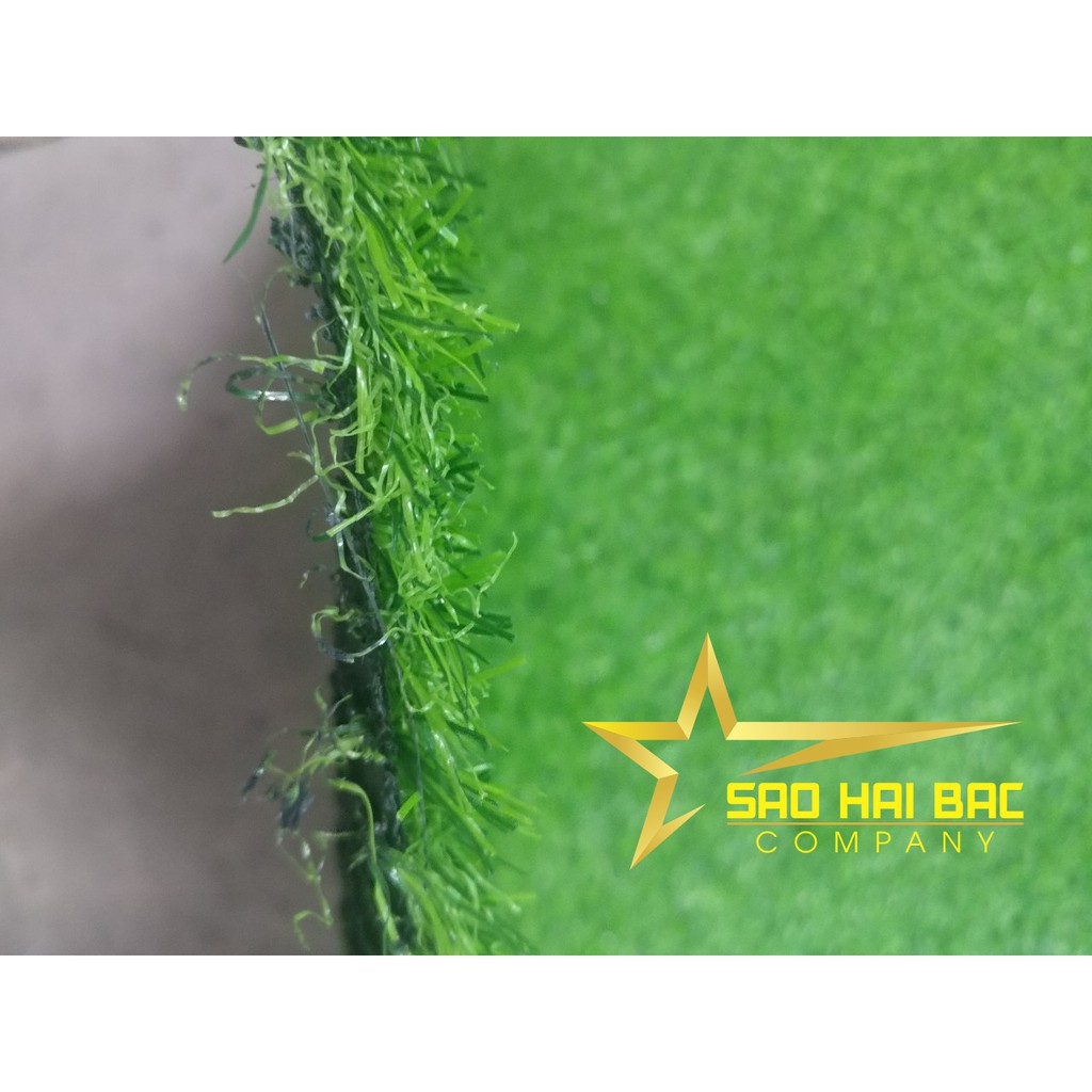 Thảm cỏ nhân tạo 2cm giá rẻ | Cỏ nhân tạo HN | Sao Hải Bắc