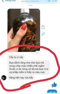 Thảo dược về răng miệng Lợi An